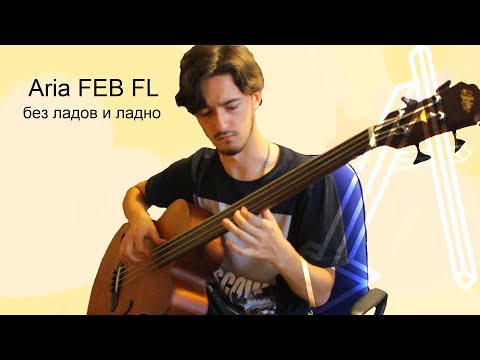 Видео: ОБЗОР ARIA FEB-FL/F безладовый акустический бас