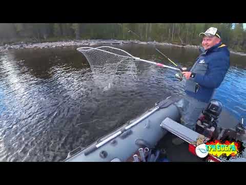 Видео: Рыбалка на Пяозере в сентябре 2022 года