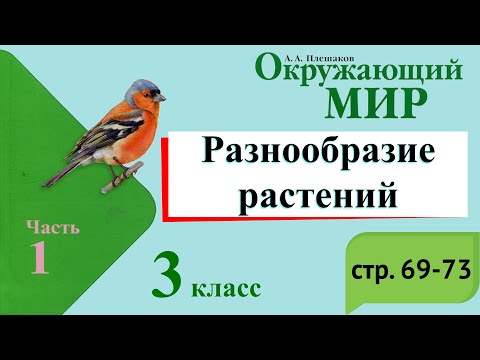 Видео: Разнообразие растений. Окружающий мир. 3 класс, 1 часть. Учебник А. Плешаков стр. 64-68