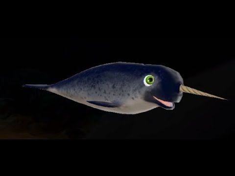 Видео: Прохожу Feed And Grow: Fish. Играю за Нарвала.