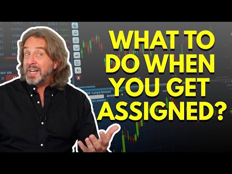 Видео: Стратегия «Колесо»: что делать, когда вас назначают?