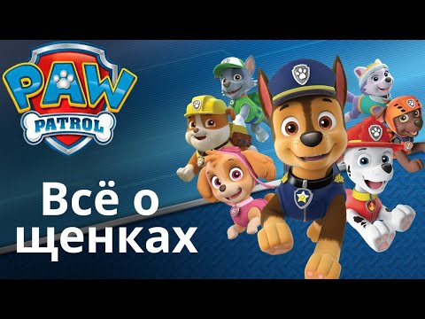 Видео: Аудиосказки для детей - Все о щенках из Щенячьего патруля.