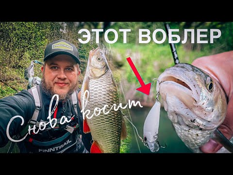 Видео: ПОССТАВИЛ снова ЭТОТ ВОБЛЕР и тут НАЧАЛОСЬ!!! / Открытие забродной рыбалки на голавля