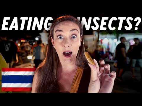 Видео: Попробовать STREET FOOD на SUNDAY NIGHT MARKET в ЧИАНГМАЕ 🇹🇭 THAILAND Travel Vlog 2022