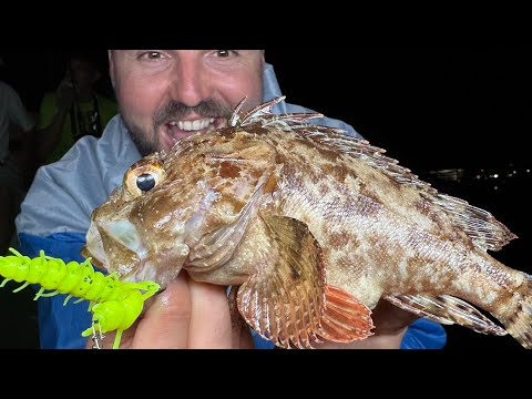 Видео: ВСИЧКО ЗА РИБОЛОВА НА ЧЕРНО МОРЕ