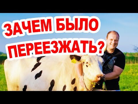 Видео: Как и зачем переезжать жить в деревню/Из города в деревню /Чем заняться в деревне / Деревня Беларусь