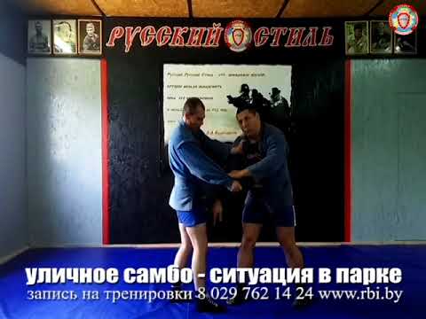 Видео: уличное самбо - ситуация в парке