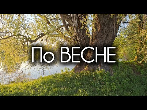 Видео: ПО ВЕСНЕ. Ириана Шиян. Песня.