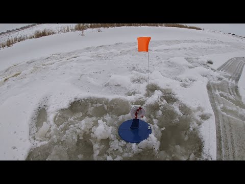 Видео: ЖЕРЛИЦЫ 2023! СТРЕЛЯЮТ одна за одной! ДИКИЕ места радуют. Ловля ГОЛОДНОЙ щуки на ЖЕРЛИЦЫ! Первый лед