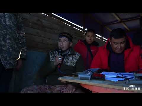 Видео: Заңғар көкпар, Ленгер 2025