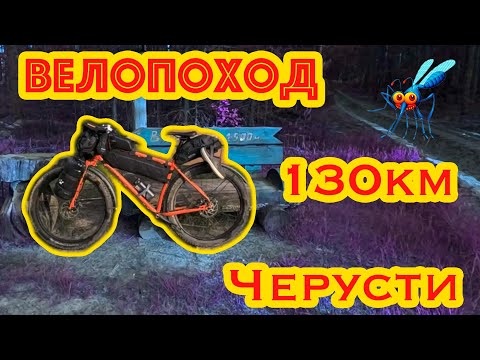 Видео: НАСЕКОМЫЕ АТАКУЮТ // ПВД 130км до Черустей