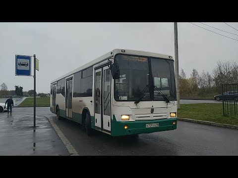 Видео: Автобус, маршрут №195 НефАЗ-5299-30-32 (5299CN) б.5572 (18.10.2020) Санкт-Петербург