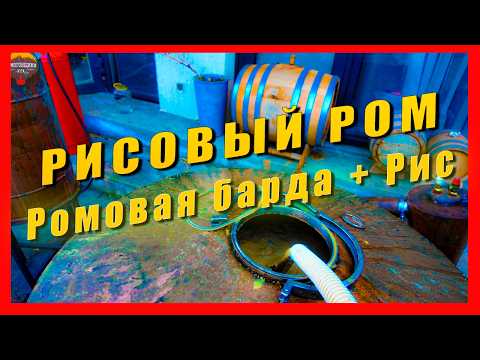Видео: Рисовый ром на ромовой барде | неожиданный результат