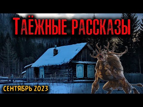 Видео: ТАЁЖНЫЕ РАССКАЗЫ | Страшные истории