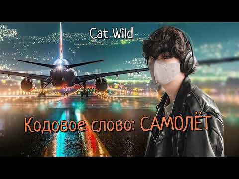 Видео: Кодовое слово САМОЛЁТ