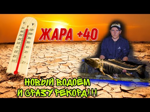 Видео: Разведка Водоёма и сразу Рекорд года!!          Жара 40+