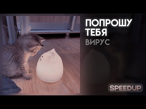 Видео: Вирус - попрошу тебя [speed up]