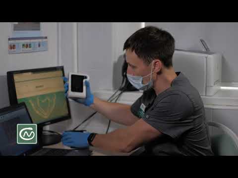 Видео: Видеокапсульная эндоскопия. Эффективная и комфортная диагностика ЖКТ