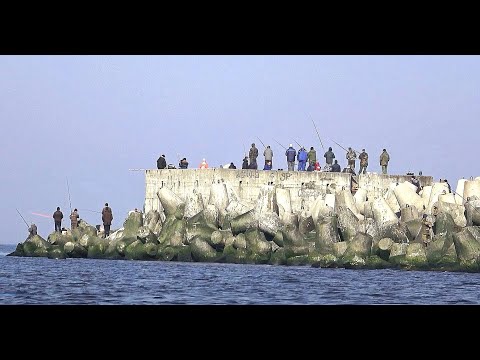 Видео: САЛАКА ПОШЛА! ОДИН ЗАБРОС И 5 РЫБ. РЫБА СТЕНОЙ! ЭТО КАКОЙ ТО...