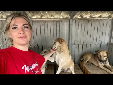 Видео: «ДАЙТЕ СВІТУ ШАНС»