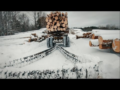 Видео: УРАЛ 4320 ЧИСТИТ ДОРОГУ в делянку ГУСЕНИЦЕЙ ОТ ТРАКТОРА ТДТ 55 ! Работа в лесу