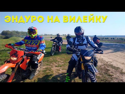 Видео: Эндуро на Вилейку. Minsk X250, Minsk CX200, Suzuki Djebel 250XC, Avantis Enduro, KTM