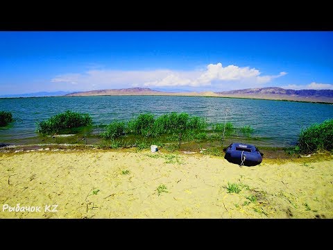 Видео: ОГОНЬ РЫБАЛКА,МИХАЙЛОВСКОЕ ОЗЕРО(МАНУЛ) САЗАН,СУДАК,ЗМЕЕГОЛОВ,СОМ,  ЧАСТЬ 1