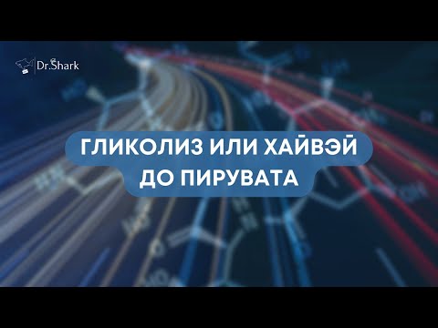 Видео: Гликолиз (биохимия обмена углеводов)