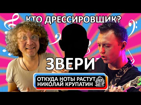 Видео: История создания группы "Звери"