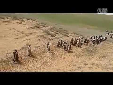 Видео: Стартовал республиканский конкурс «Ақтабан шұбырынды, Алакөл сұлама»