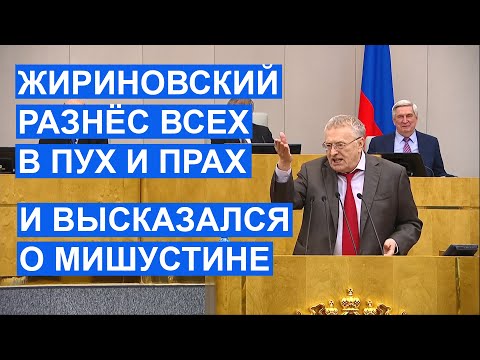 Видео: Жириновский разнёс депутатов, гуманитариев во власти и высказал мнение о Мишустине
