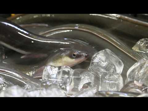 Видео: Легендарный ресторан с угрем на гриле Унаги в Киото