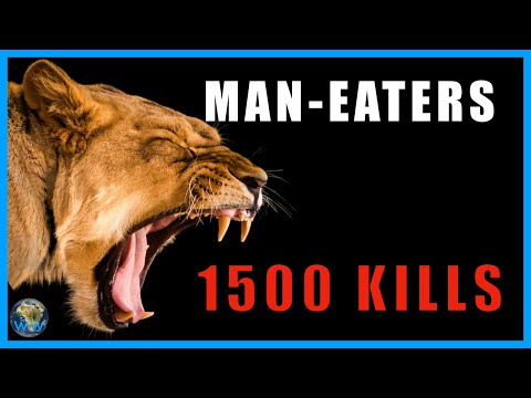 Видео: Львы-людоеды Нджомбе