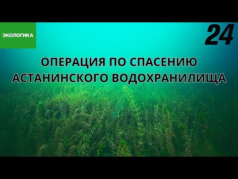 Видео: Астана останется без питьевой воды? | Экологика