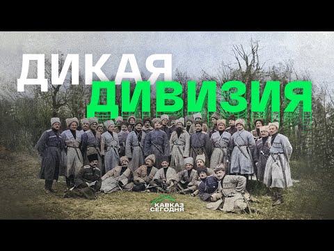 Видео: Дикая дивизия