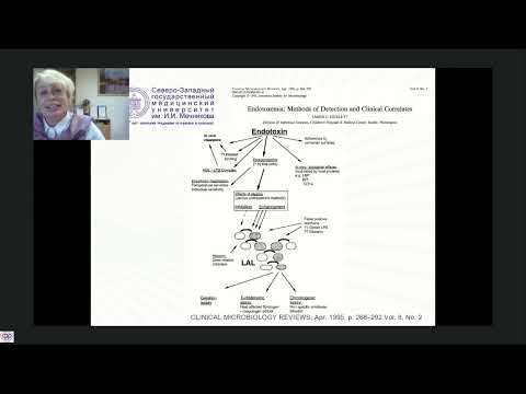 Видео: Гемоперфузия в терапии сепсиса Руслякова И.А.