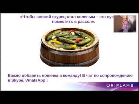 Видео: ЗАПУСК НОВИЧКА! ФИЛОСОФИЯ СОПРОВОЖДЕНИЯ 08.06.16 Санникова Надежда