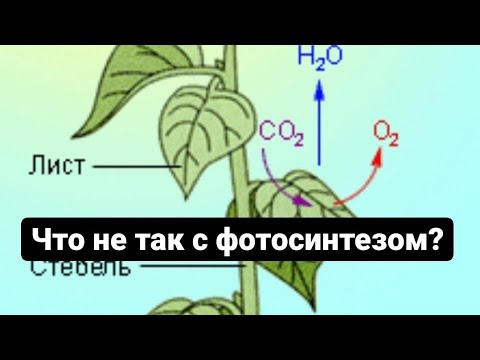 Видео: Для плодородия и хорошего урожая ЧТО ТО НЕ ТАК!