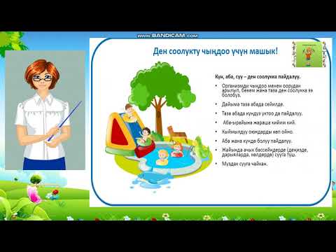Видео: Адамдын негизги байлыгы - ден соолугу