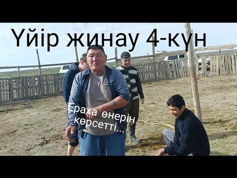 Видео: Үйір жинау 4. Таңба бастық, шідер салдық