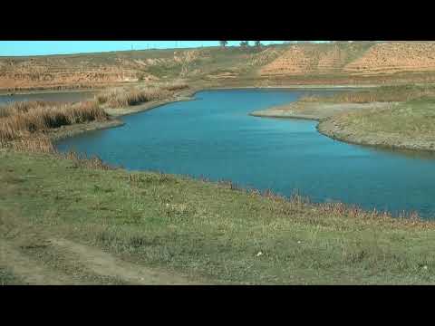 Видео: Современное состояние реки Аксай Есауловский от истока до устья.