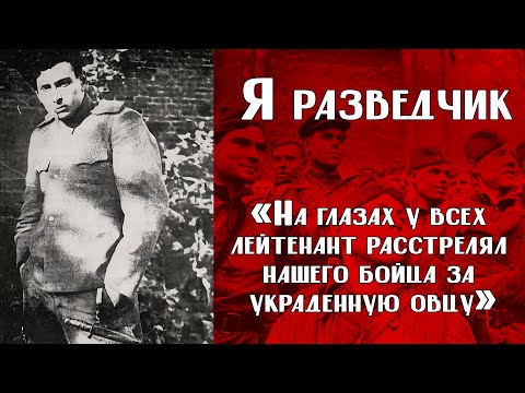 Видео: ИСТОРИИ ВЕТЕРАНОВ ВОВ | «Наш путь был устлан трупами».