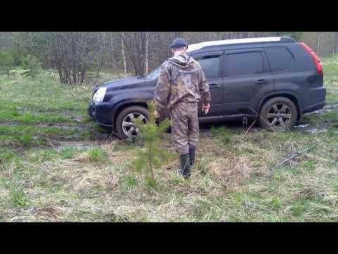 Видео: Nissan Т-30 и Т-31 по грязи