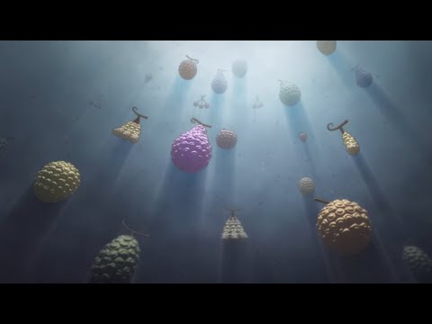 Видео: Дьявольские фрукты /Ван Пис теория