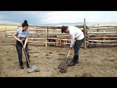 Видео: "Хотын бүсгүй хөдөөд"  нэвтрүүлэг