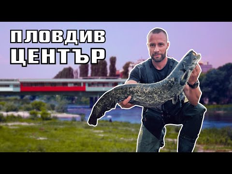 Видео: СОМ в ЦЕНТЪРА на ПЛОВДИВ! Риболов на щука,костур, кефал и сом !