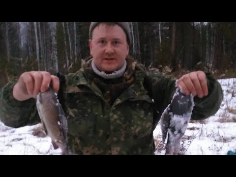 Видео: экстремальная рыбалка на хариуса в ноябре ПЕРВЫЙ ЛЕД/НОЯБРЬ  2019