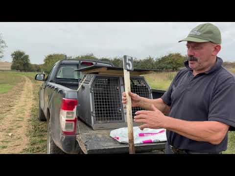 Видео: Октябрь 2025 г.