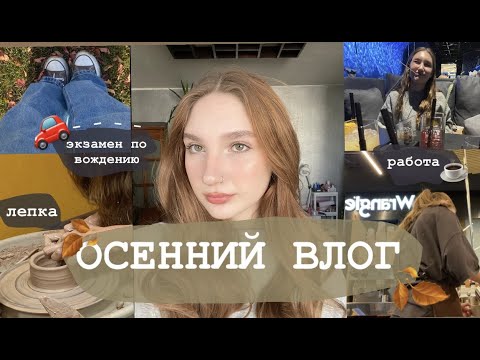 Видео: ОСЕННИЕ БУДНИ/ сдаю на права/ устраиваюсь на работу/леплю из глины