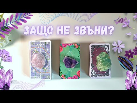 Видео: Кога ще те потърси?❤️ Мисли ли за теб? 🔮ТАРО ГЛЕДАНЕ 🔮